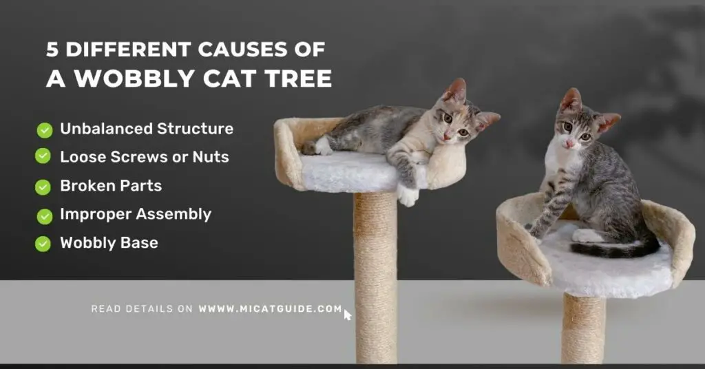5 Different Causes Of A Wobbly Cat Tree