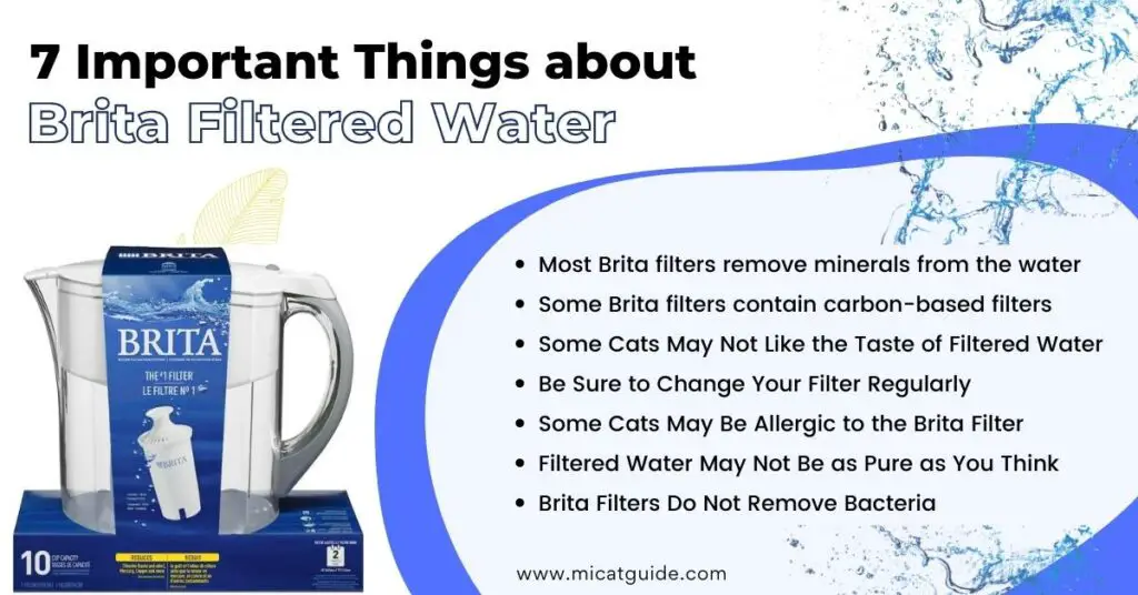 Be Aware of These 7 Things about Brita Filtered Water