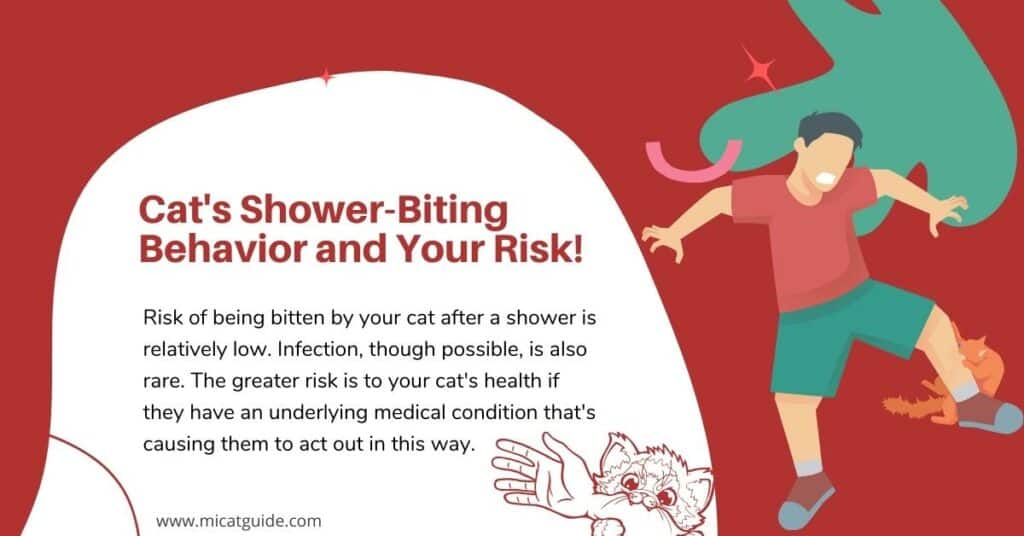 Cat's Shower-Biting Behavior and Your Risk