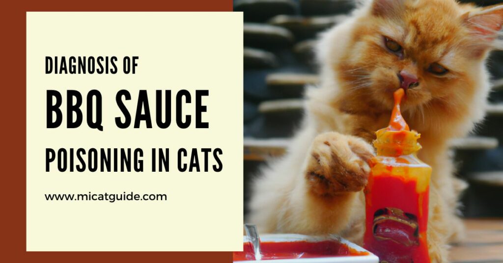 Diagnosis of BBQ Sauce Poisoning in Cats