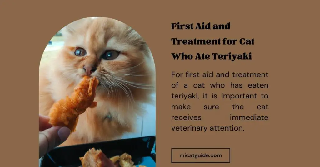 First Aid and Treatment for Cat Who Ate Teriyaki Chicken