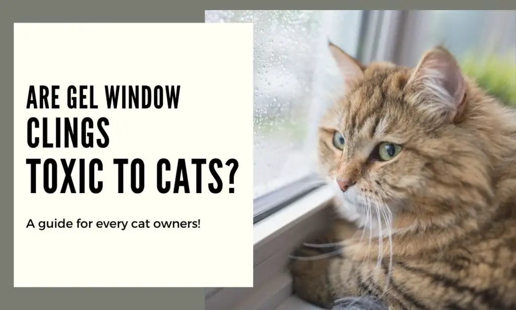 Gel Window Clings Toxic To Cats