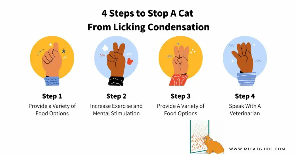 How Can I Stop My Cat From Licking Condensation