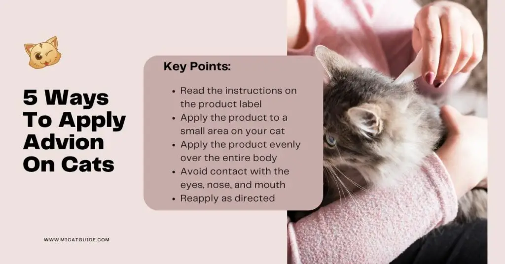 How to Apply Advion on Your Cats