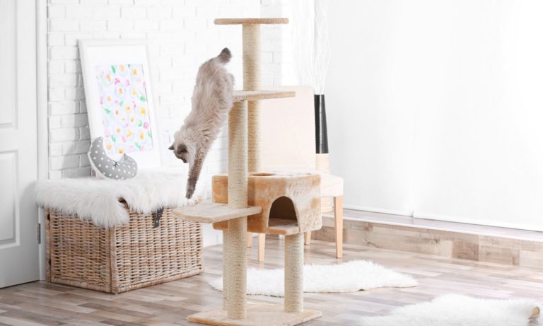 How to Attach Cat Toys to Cat Tree? (step by step)