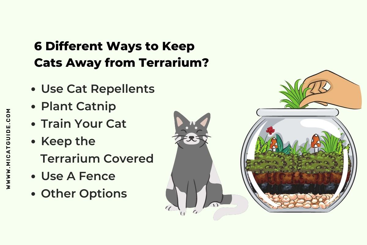 How to Keep Cat off Terrarium? (6 Proven Methods) Mi Cat Guide