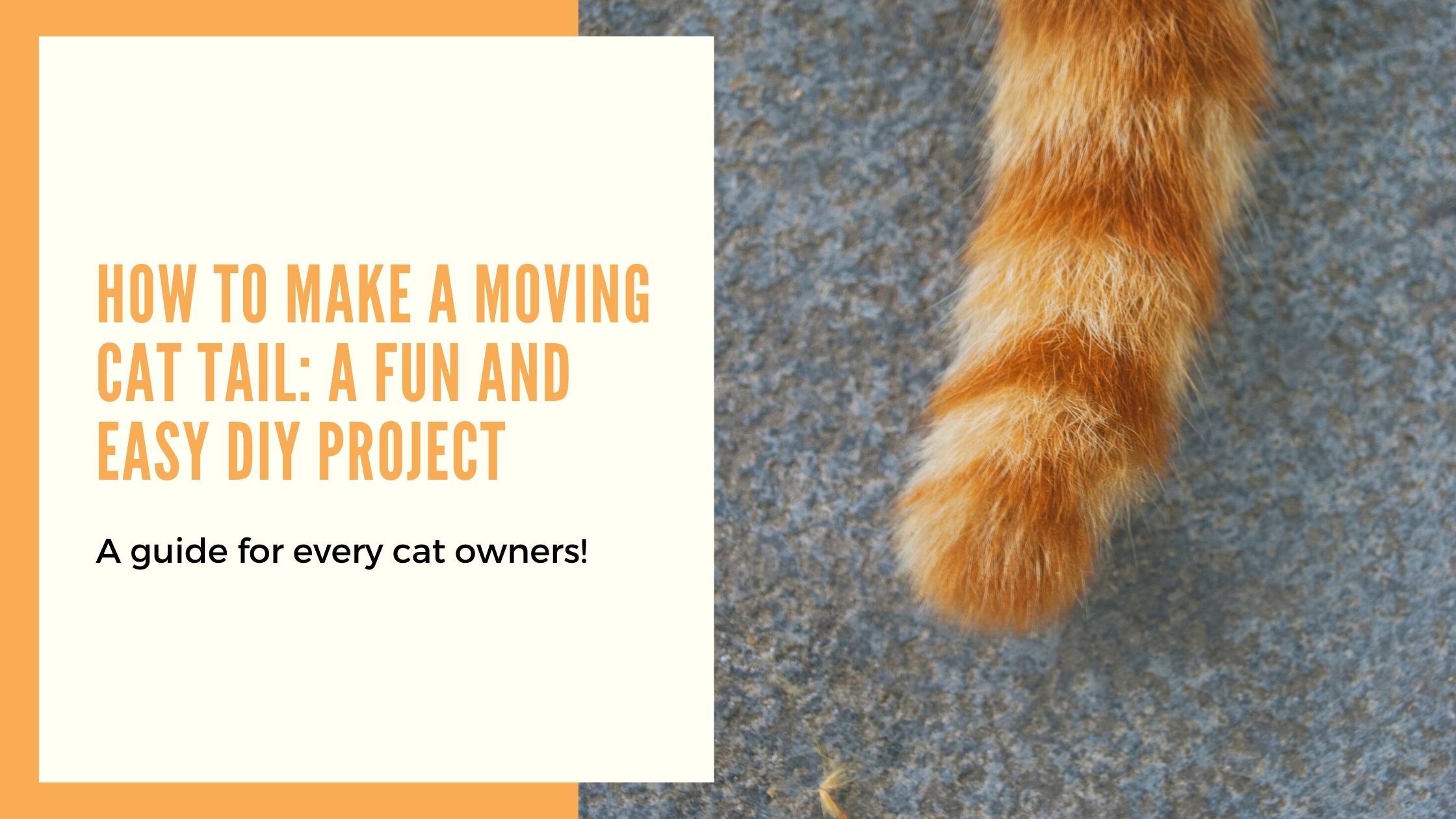 How to Make a Moving Cat Tail
