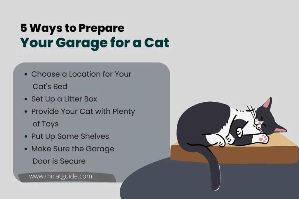 How to Prepare Your Garage for a Cat