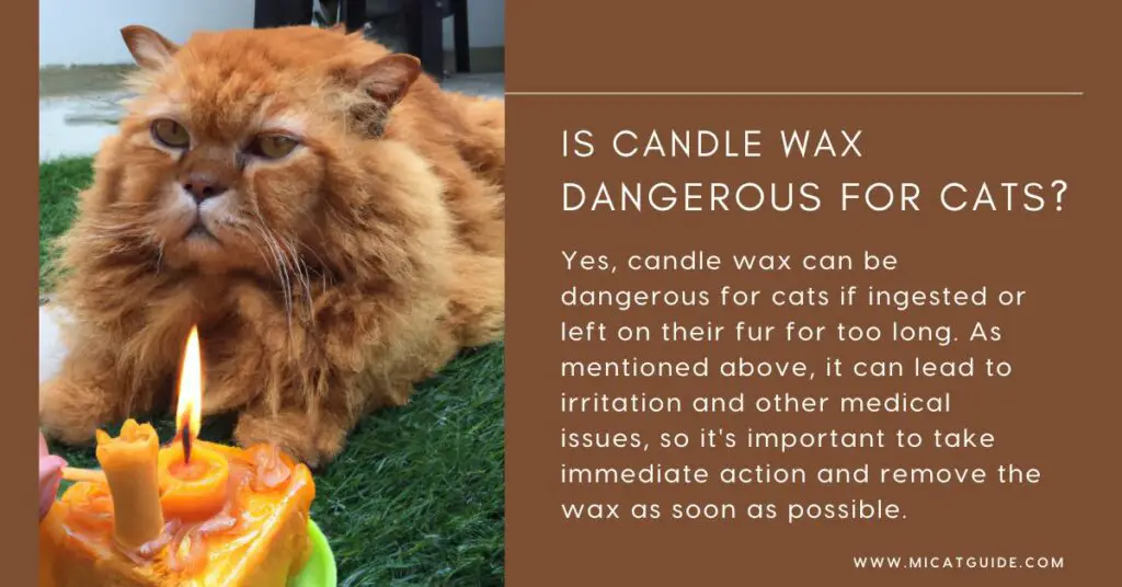 Is Candle Wax Dangerous For Cats