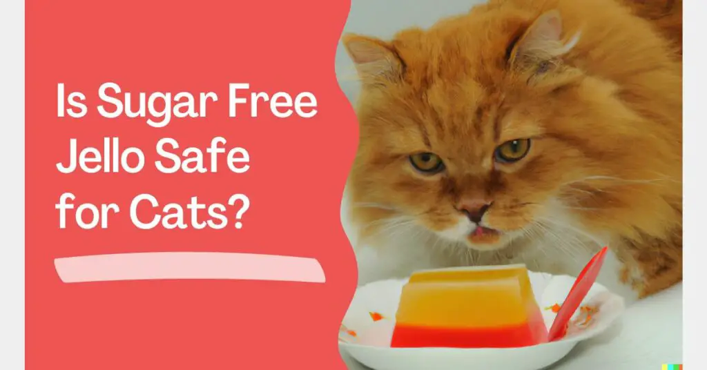 Is Sugar-Free Jello Safe for Cats