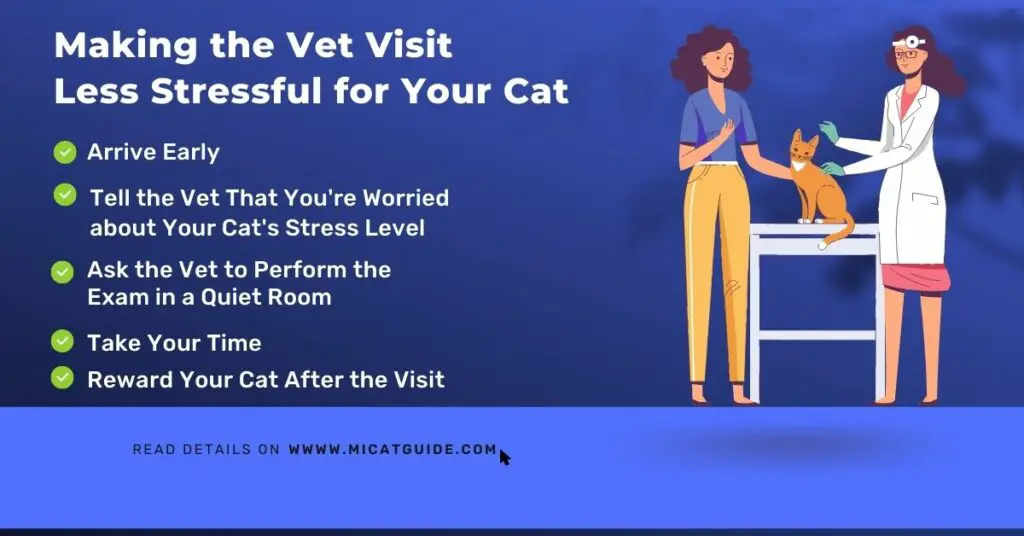 Making the Vet Visit Less Stressful for Your Cat