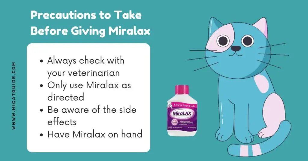 Precautions to Take Before Giving Miralax to Your Cat