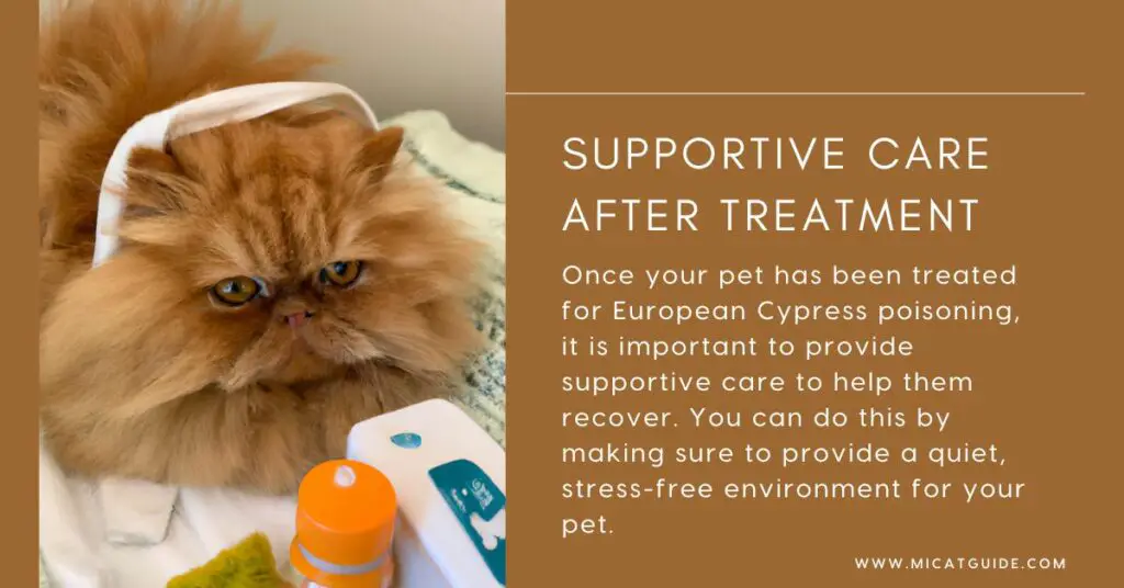 Supportive Care After Treatment