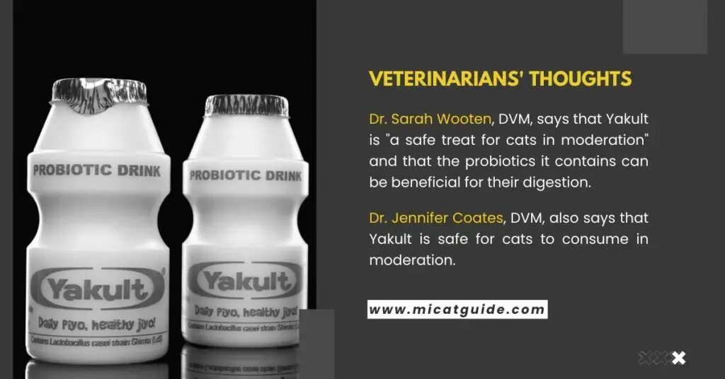 Veterinarians' Thoughts on The Safety of Yakult for Cats
