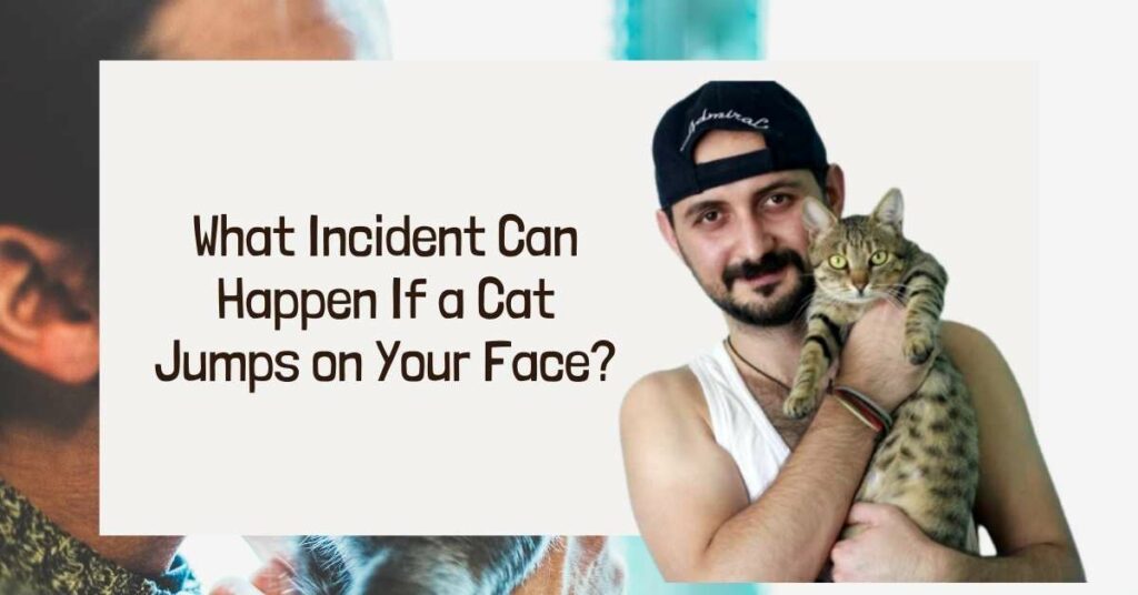 What Incident Can Happen If a Cat Jumps on Your Face