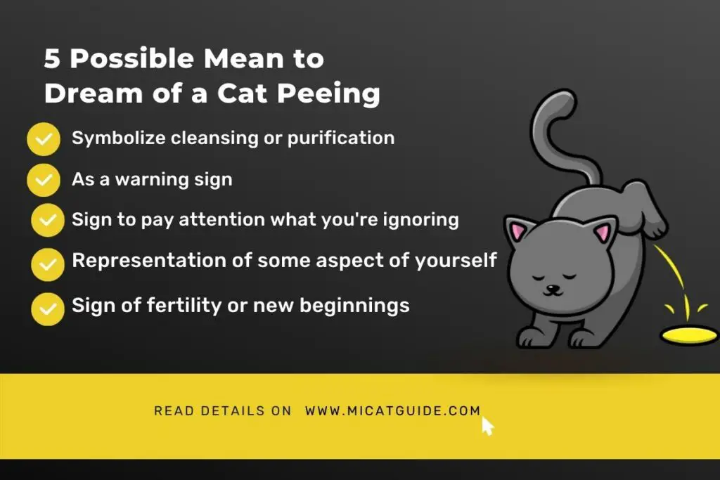 What does it Mean to Dream of a Cat Peeing