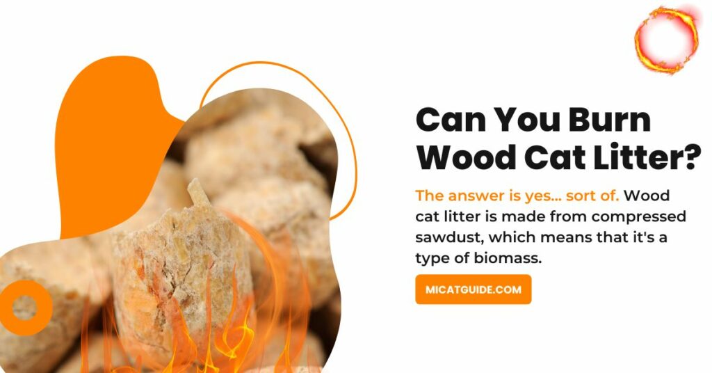 You Can Burn Wood Cat Litter
