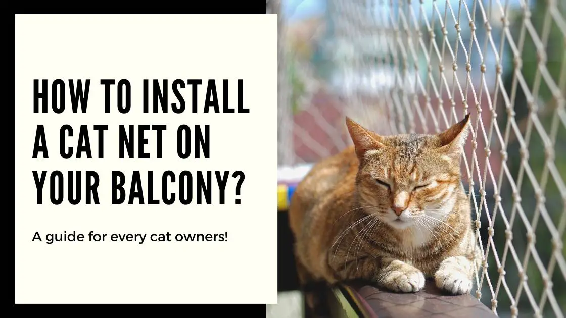 Installing a Cat Net on Your Balcony