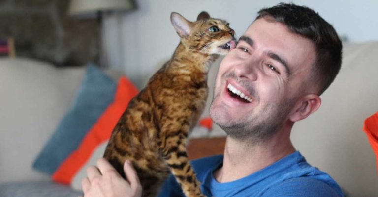 Why does my Cat Lick my Earlobe? (5 Possible Reasons)