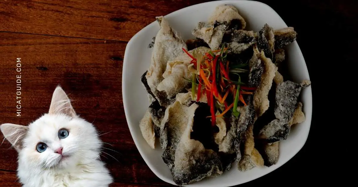Can Cats Eat Dried Fish Skin