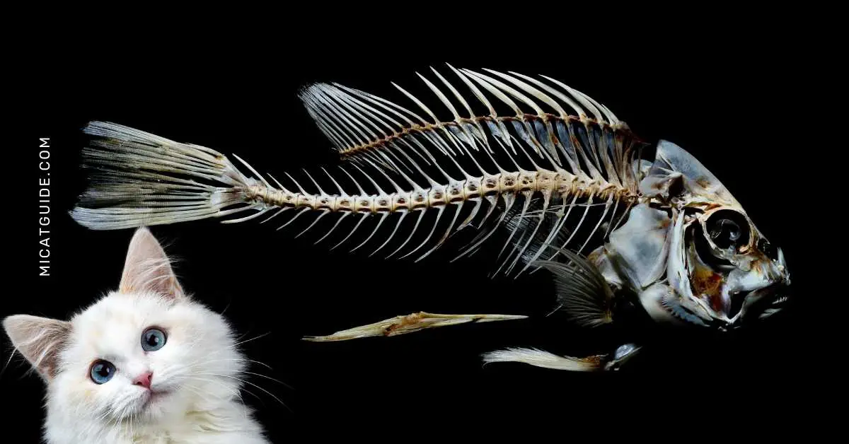 Can Cats Eat Raw Fish Bones