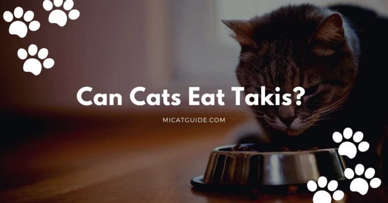 Can Cats Eat Takis? (Are Takis Safe for Cats?)