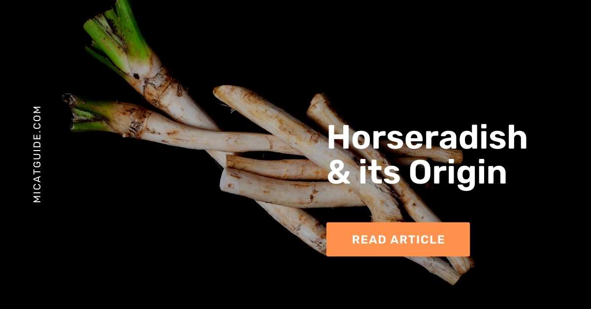 Horseradish & its Origin