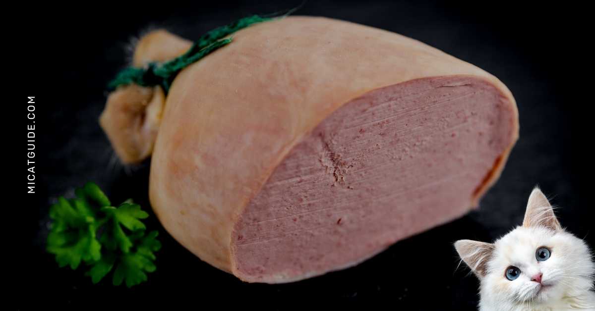 How Often Should You Feed Liverwurst to Cats