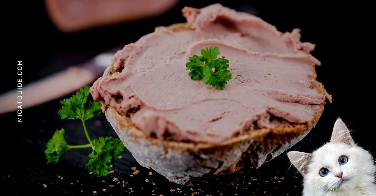 How do you Prepare Liverwurst for your Cats