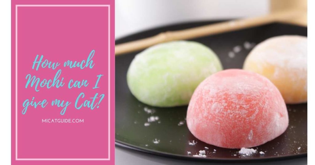 Can Cats Eat Mochi? (Yes & How Much?) - Mi Cat Guide