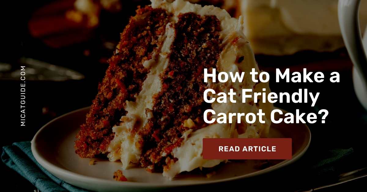Making a Cat Friendly Carrot Cake