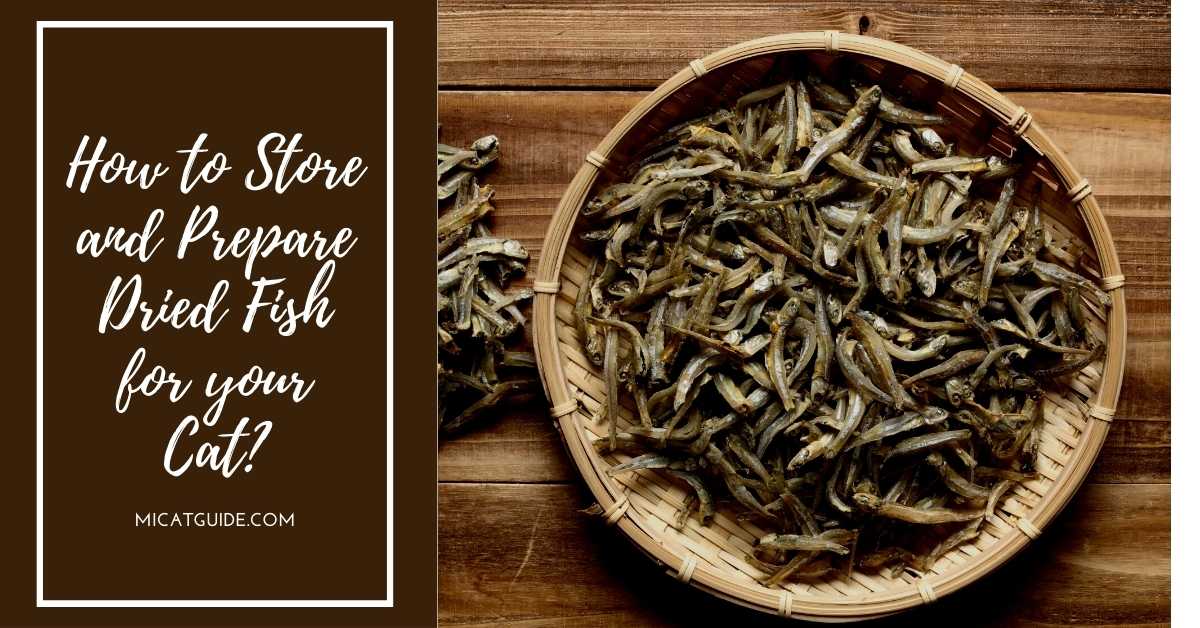 How to Store and Prepare Dried Fish for your Cat