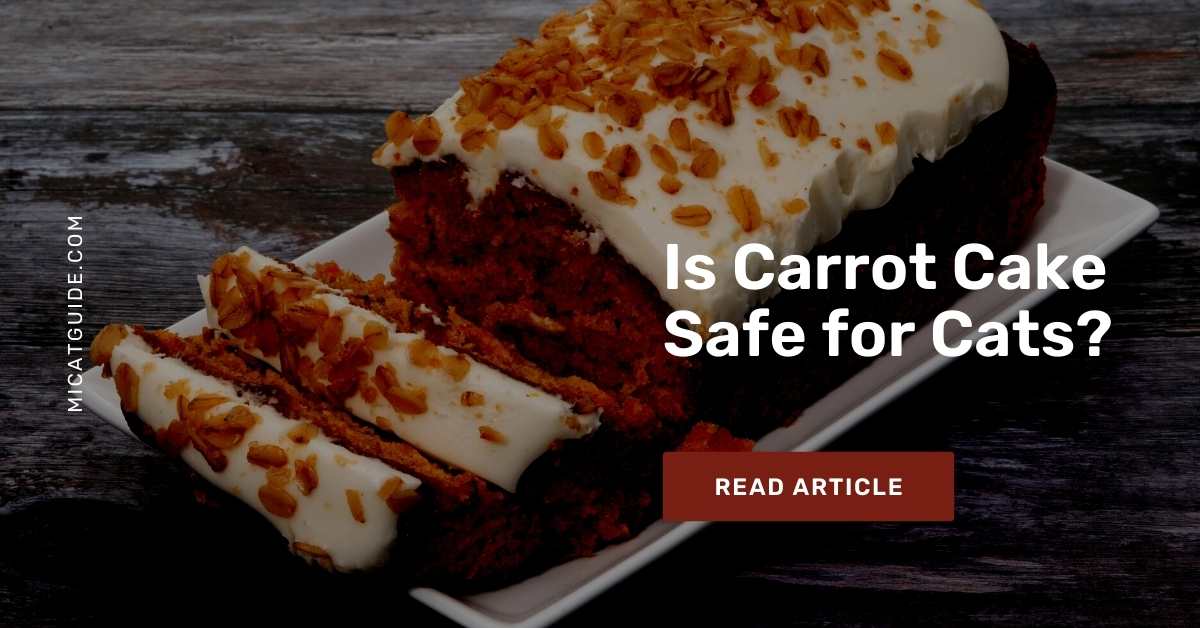 Carrot Cake Safe for Cats