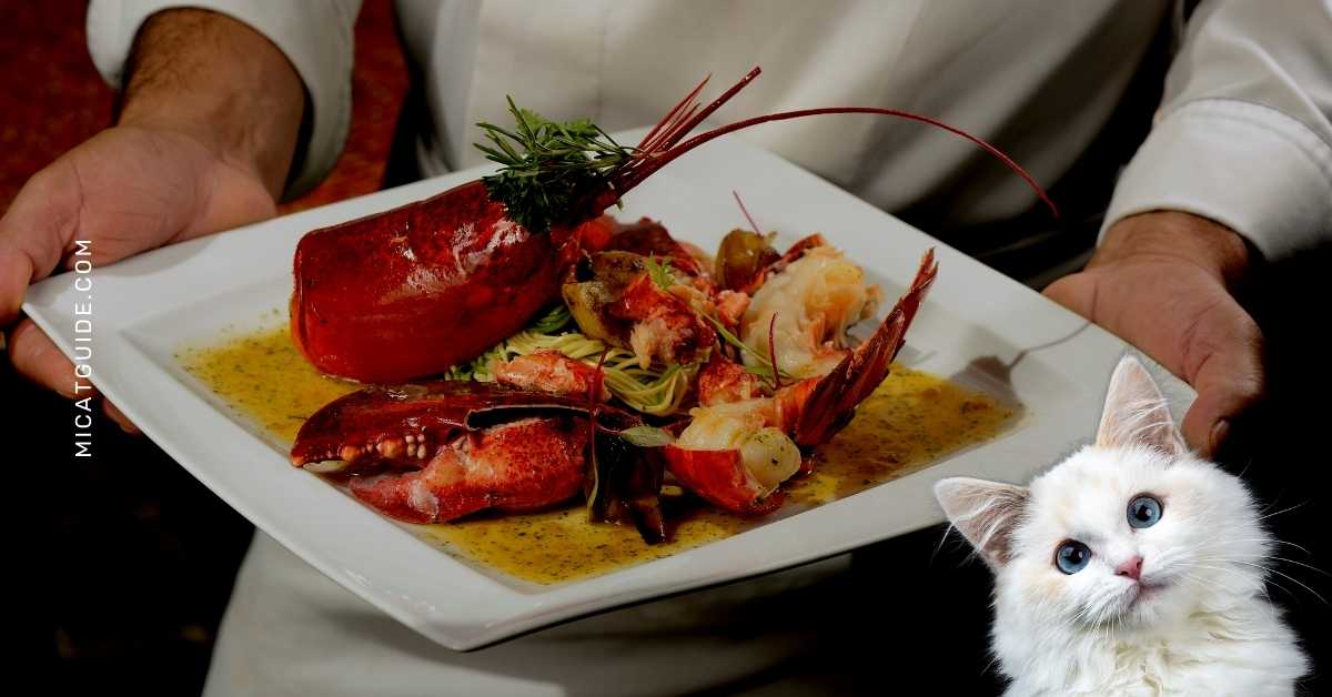 The Benefits of Feeding Lobster to your Cat