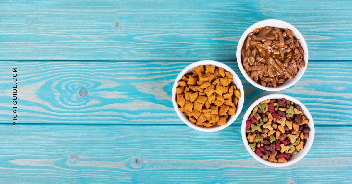 The Benefits of Feeding Your Cat a Healthy Diet