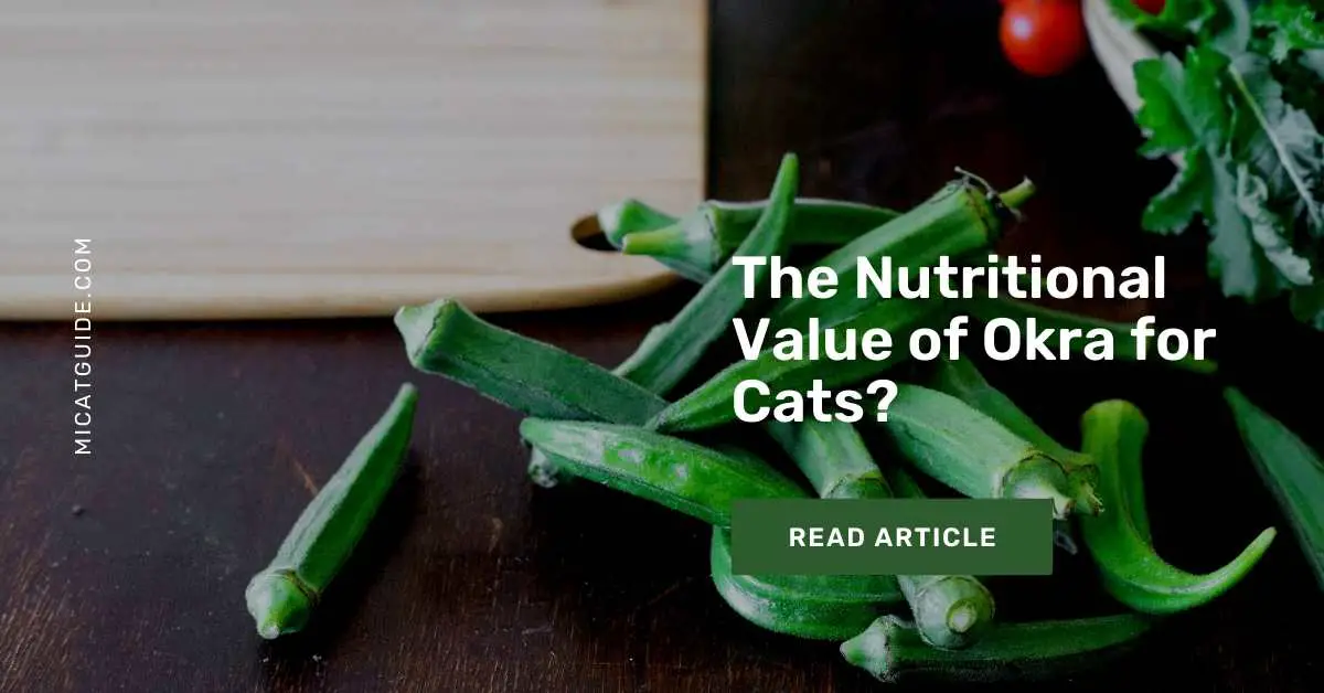 The Nutritional Value of Okra for Cats
