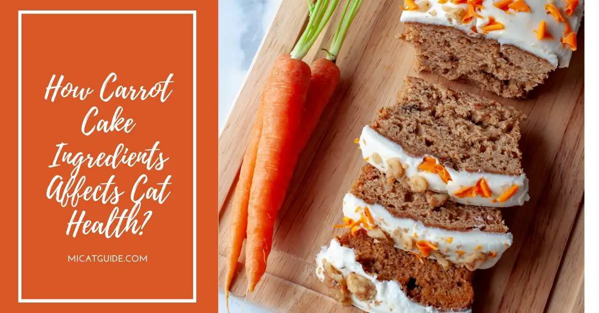 Understanding How Carrot Cake Ingredients Affects Cat Health