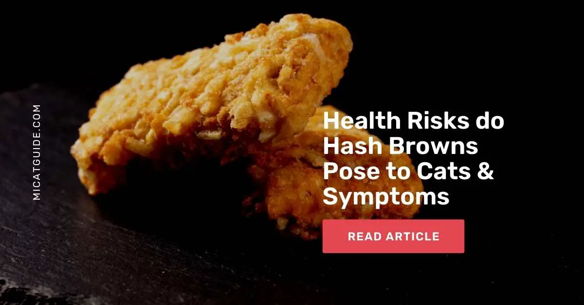 What Health Risks do Hash Browns Pose to Cats & Symptoms