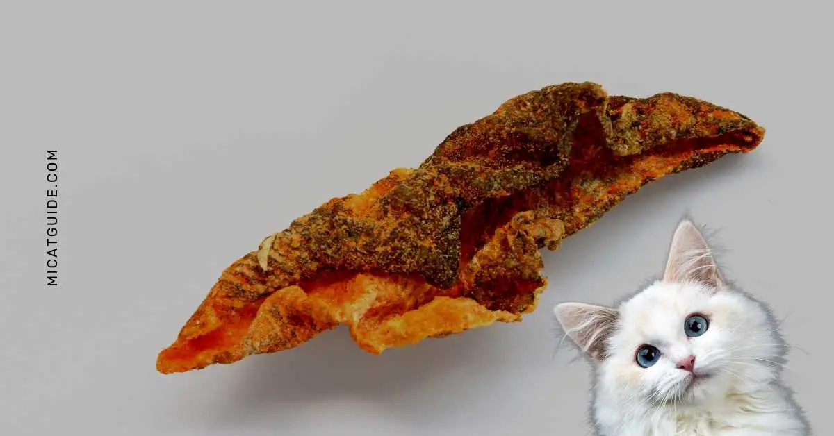 What are the Benefits of Fish Skin for Cats
