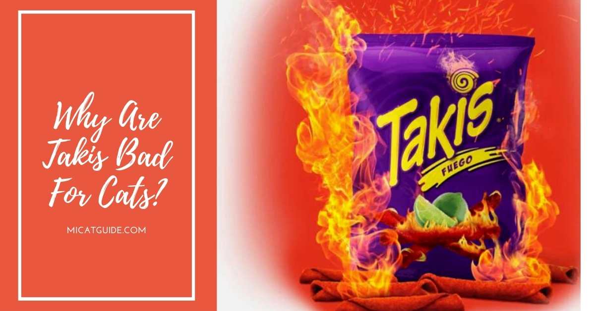 Takis Bad For Cats