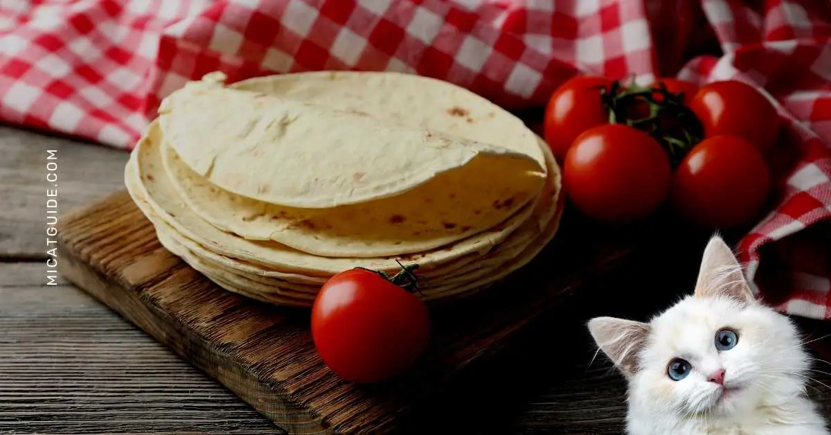 Why Tortillas are Safe for Cats to Eat