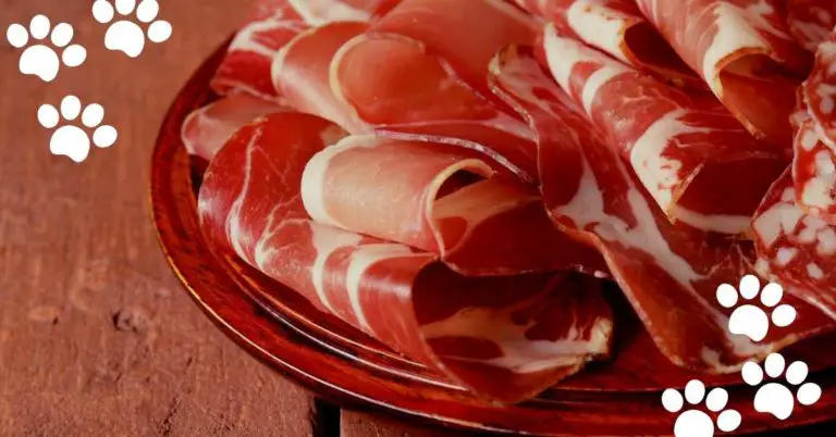 Can Cats Eat Prosciutto? (Yes & How Much?)