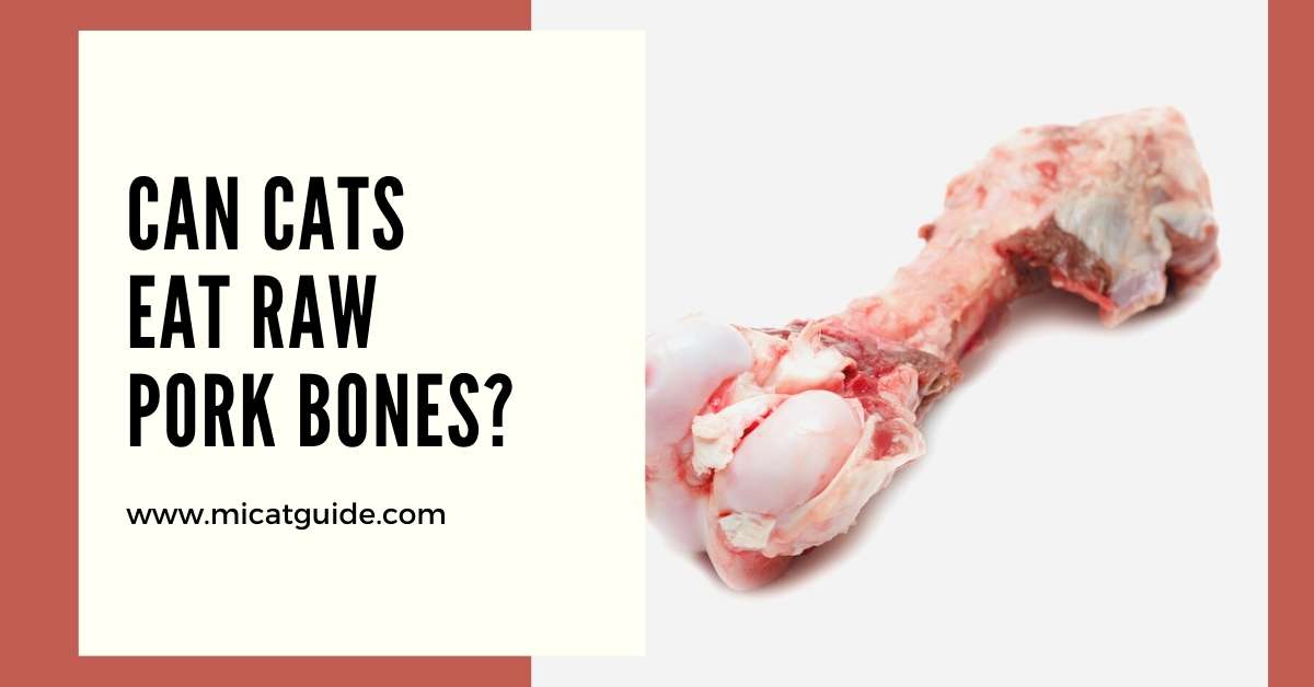 Can Cats Eat Raw Pork Bones