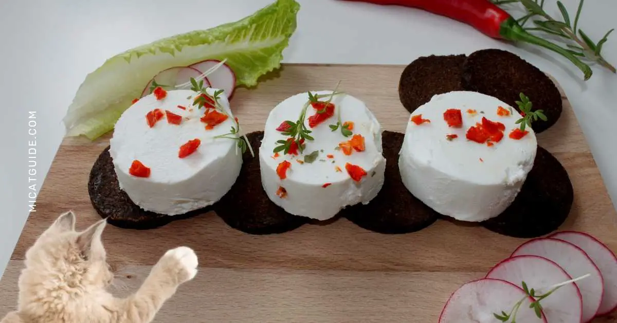 Can Kittens Eat Goat Cheese