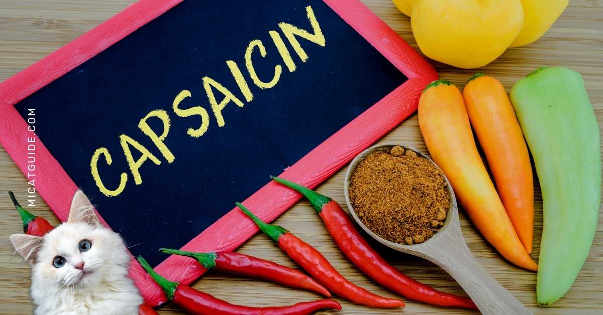 Capsaicin Effects on Cats