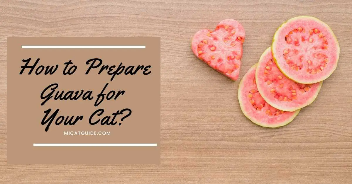 How to Prepare Guava for Your Cat