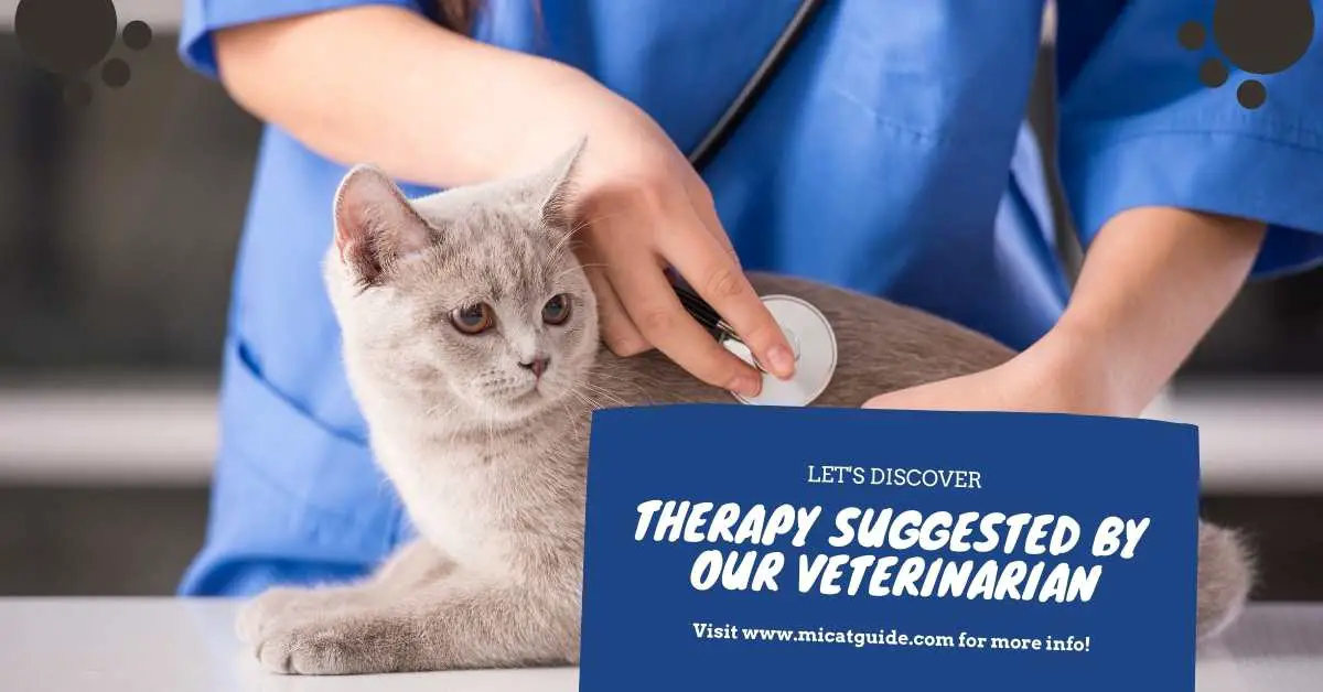 Therapy Suggested by our Veterinarian