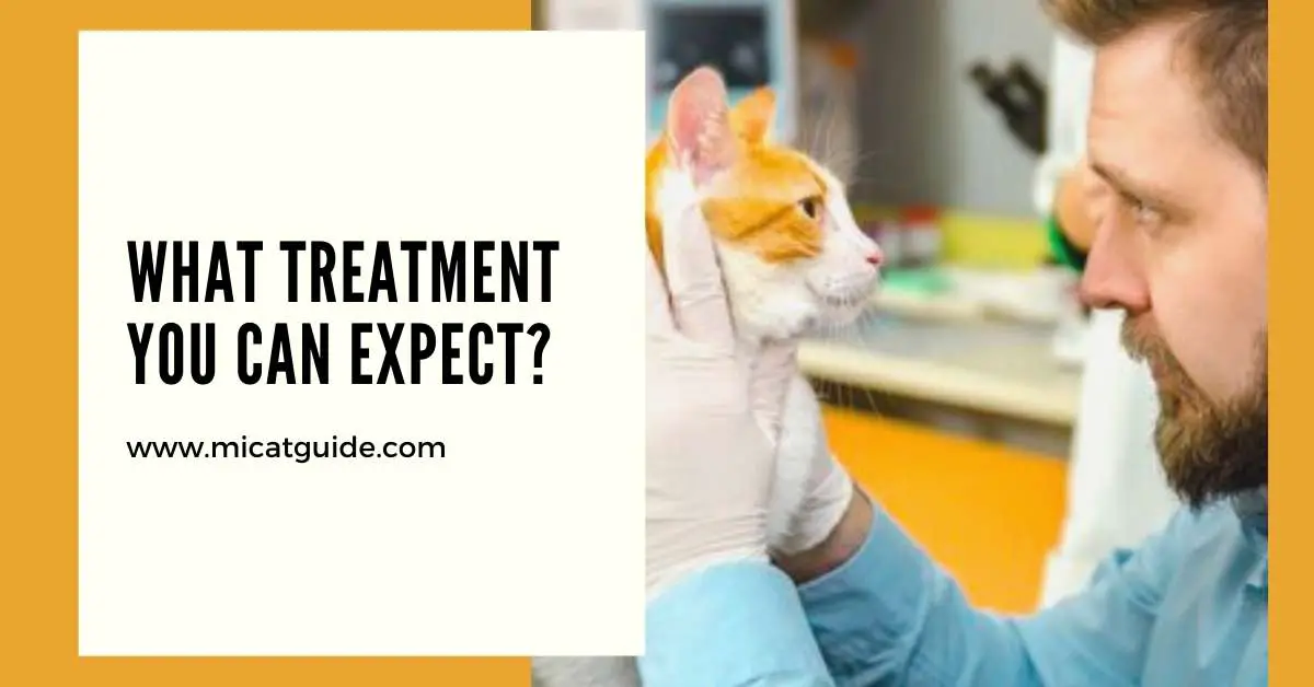 What Treatment You Can Expect