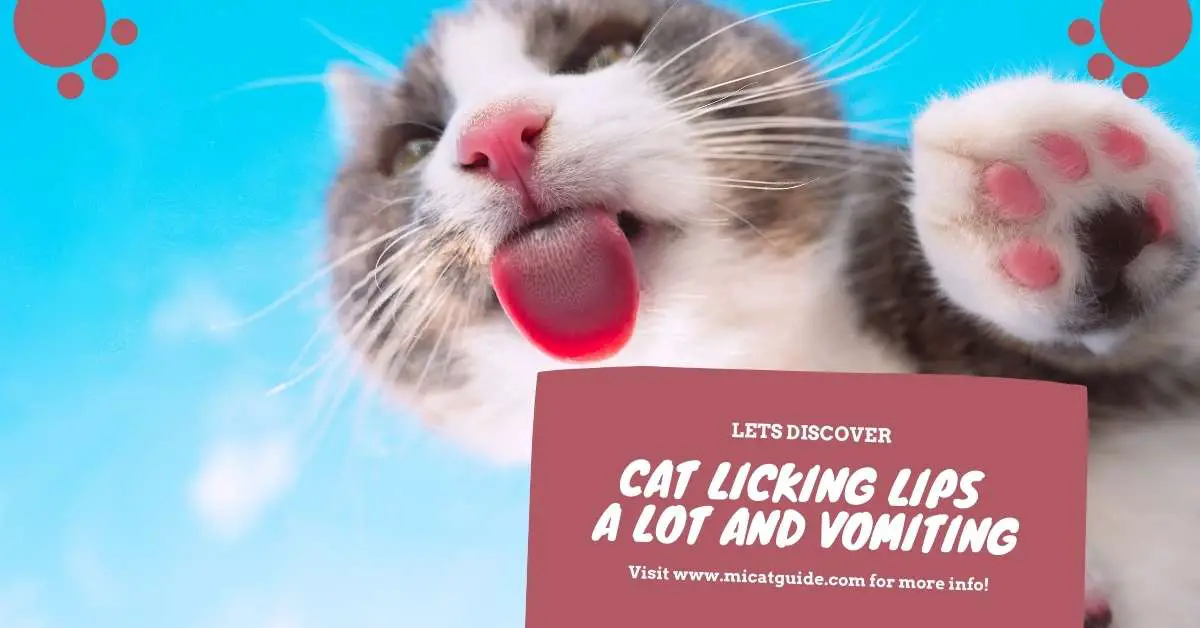 Cat Licking Lips A Lot and Vomiting