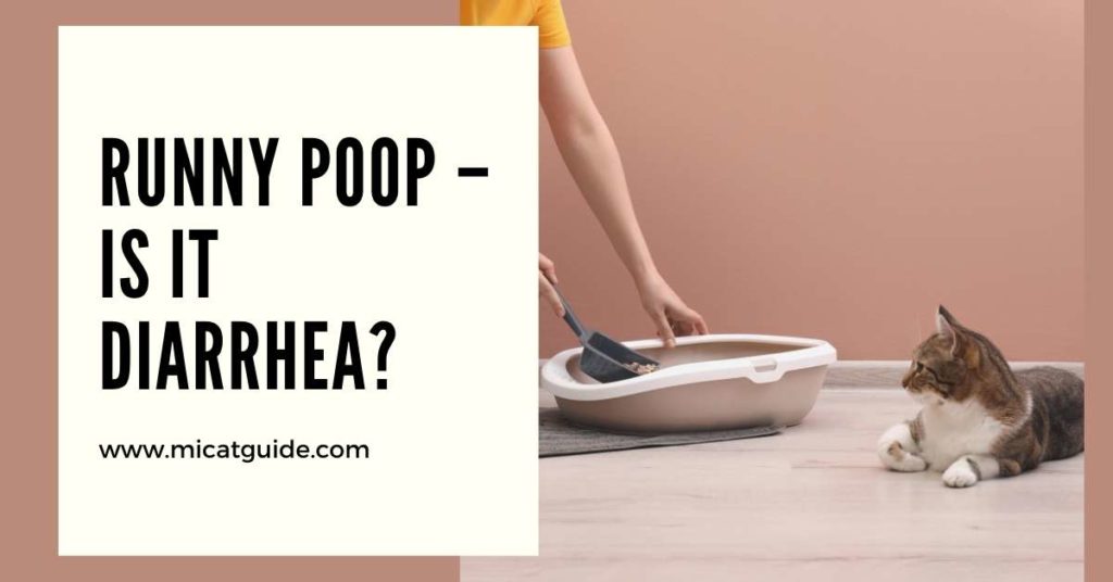 Runny Poop – Is It Diarrhea